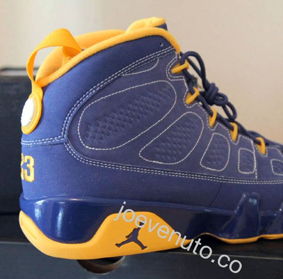 Calvin Bailey Air Jordan Ix 5