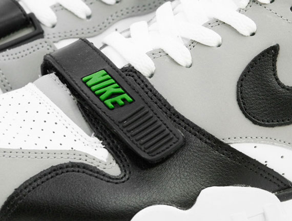 Chlorophyll Trainer 1 2012 1