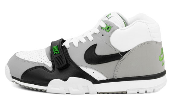 Chlorophyll Trainer 1 2012 5