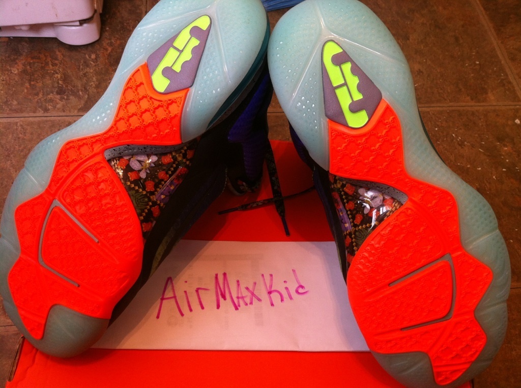 Nike Lebron 9 What The Lebron Ebay 01