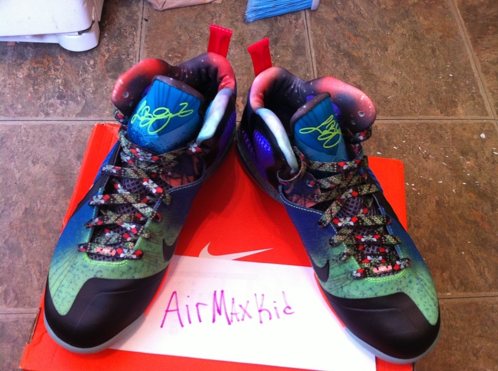 Nike Lebron 9 What The Lebron Ebay 02