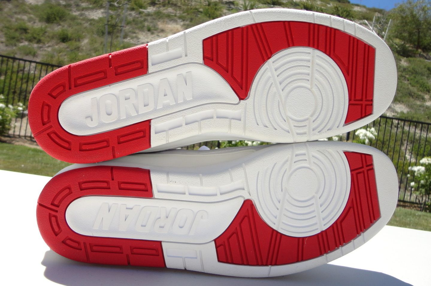 Air Jordan Ii Derek Anderson Low Home 02