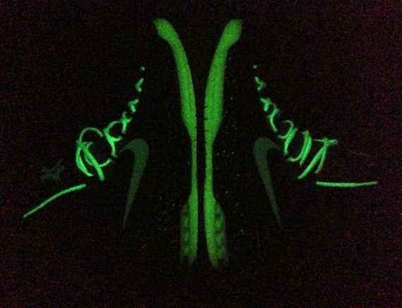 Nike Kd V Id Leo Chang 1