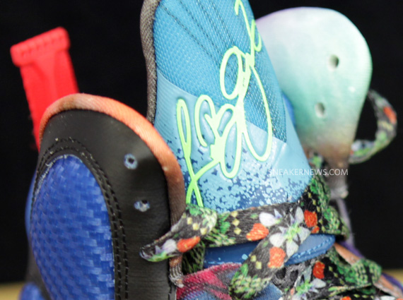 What The Lebron 9 Nike 13