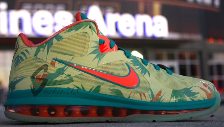 Lebronold Palmer Nike Lebron 9 Low 01