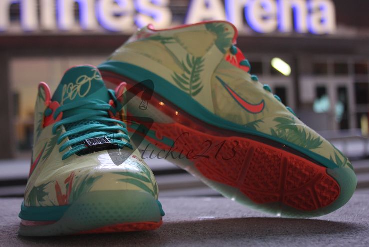 Lebronold Palmer Nike Lebron 9 Low 02