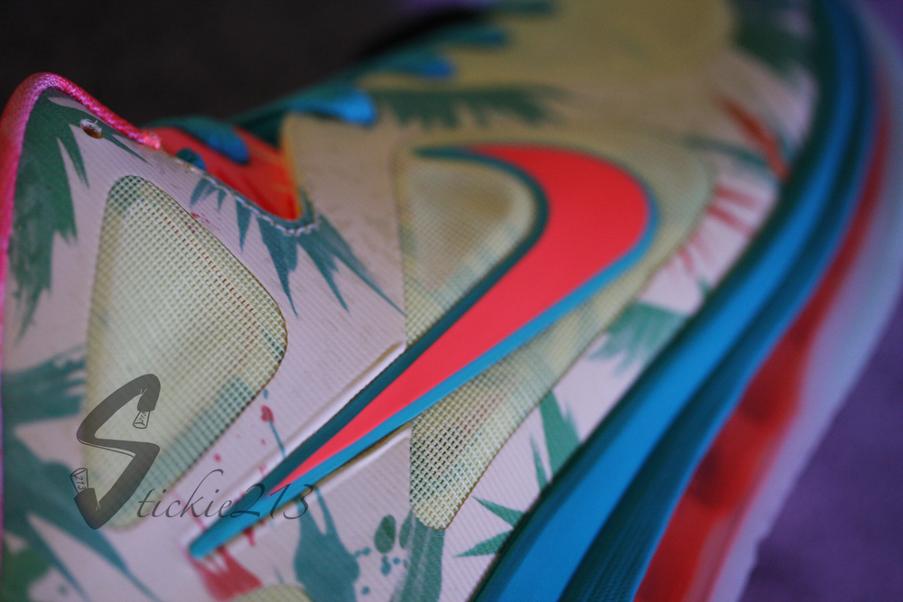Lebronold Palmer Nike Lebron 9 Low 03