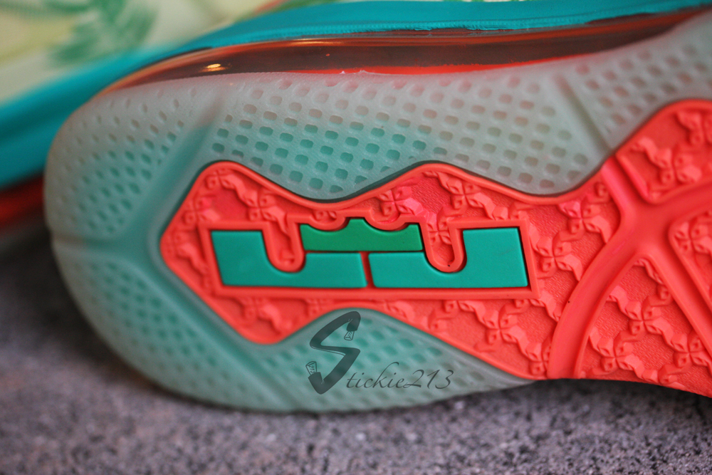 Lebronold Palmer Nike Lebron 9 Low 08