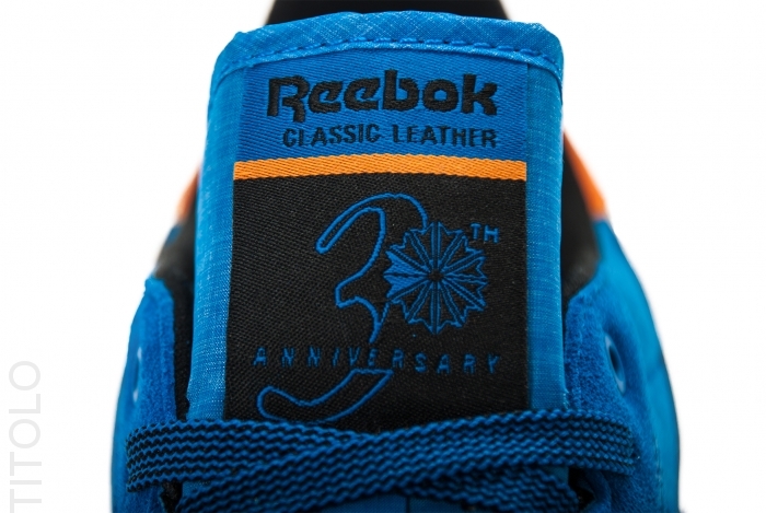 Reebok Classic Trail 2
