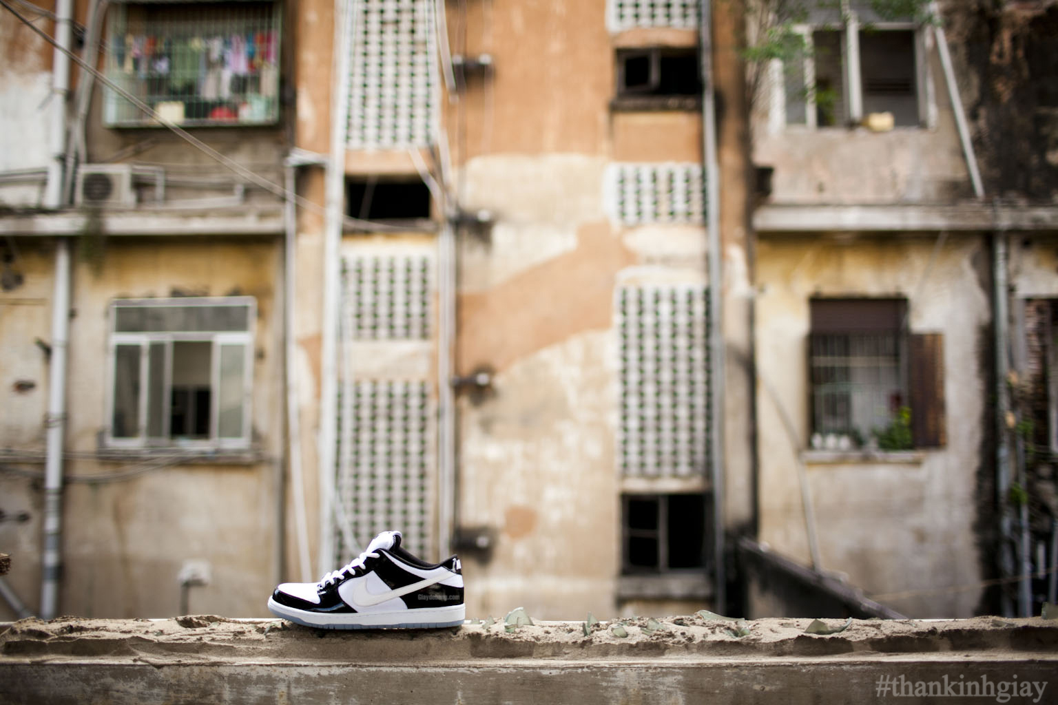 Concord Nike Sb Dunk Low Summer 2013 