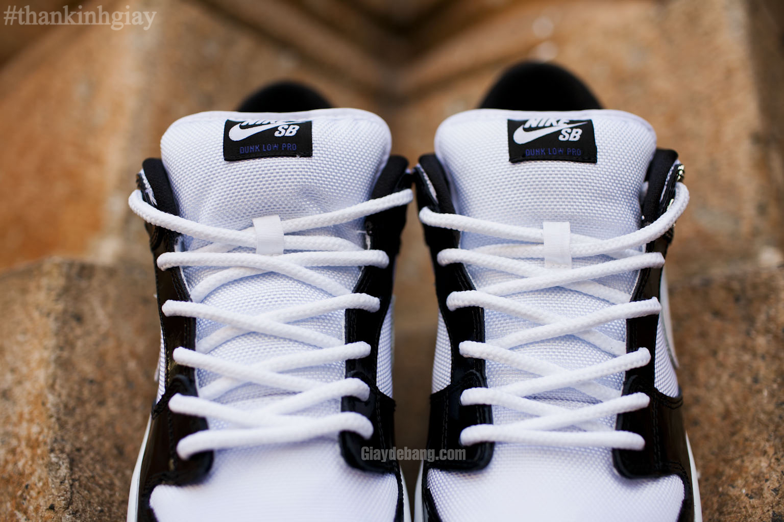 Concord Nike Sb Dunk Low Summer 2013 007