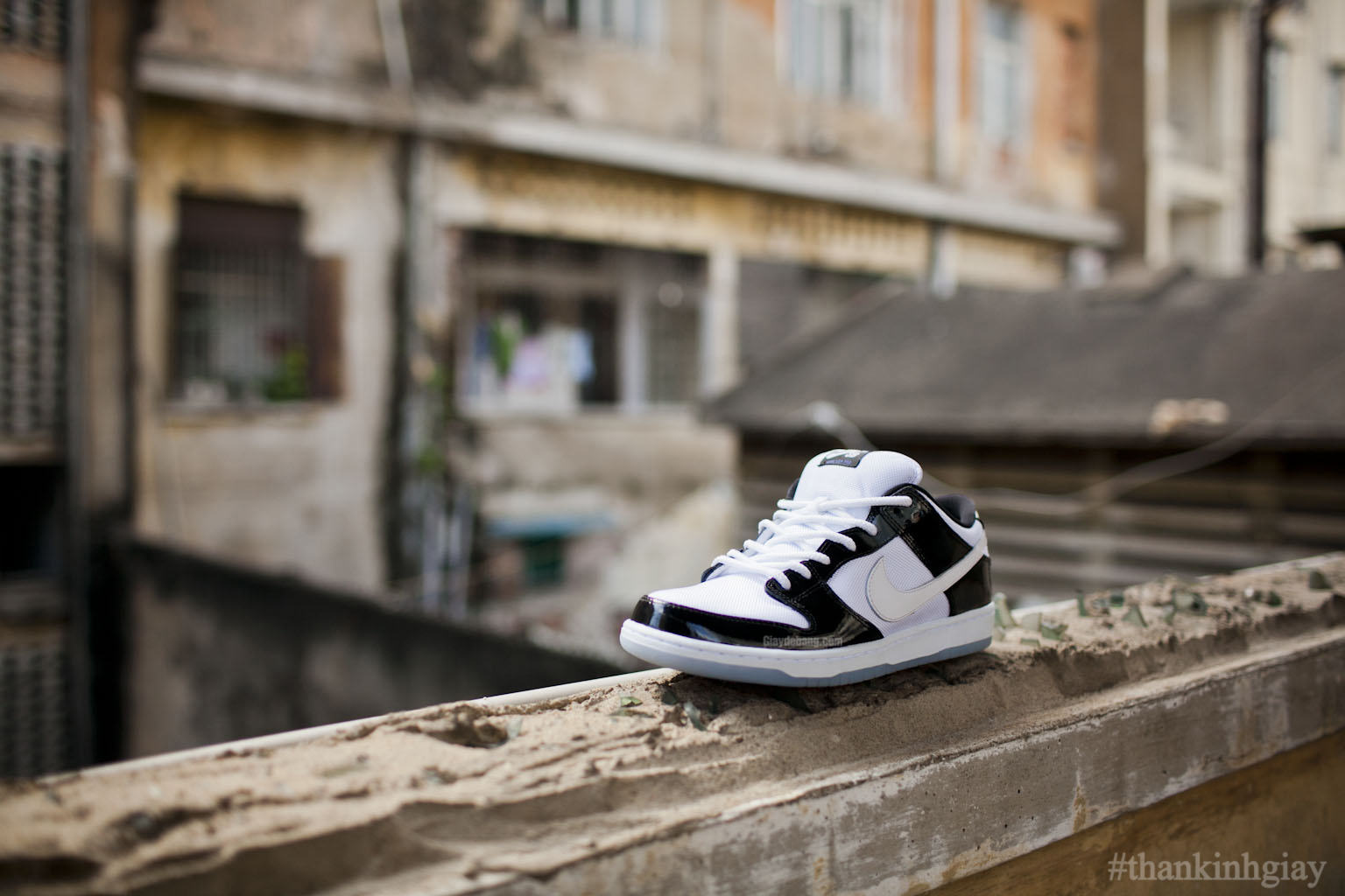 Concord Nike Sb Dunk Low Summer 2013 013