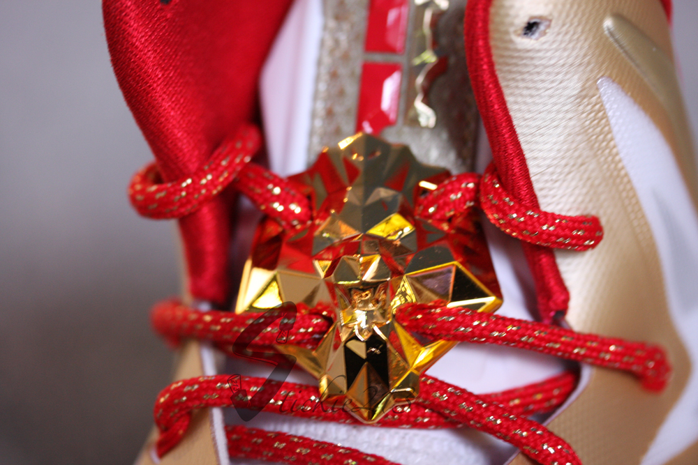 Nike Lebron X Ring Ceremony 8