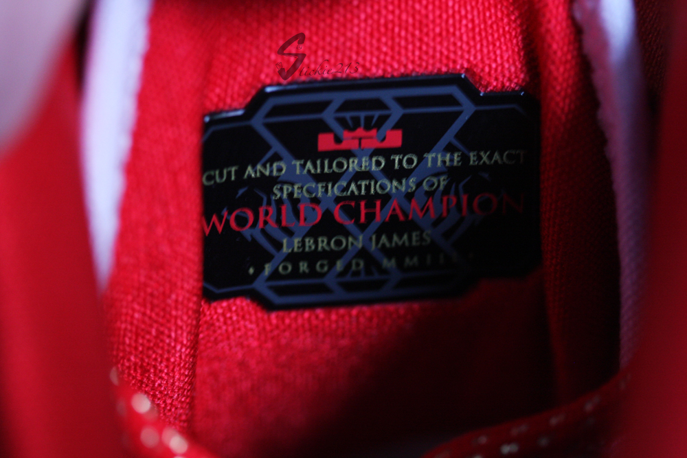Nike Lebron X Ring Ceremony 9