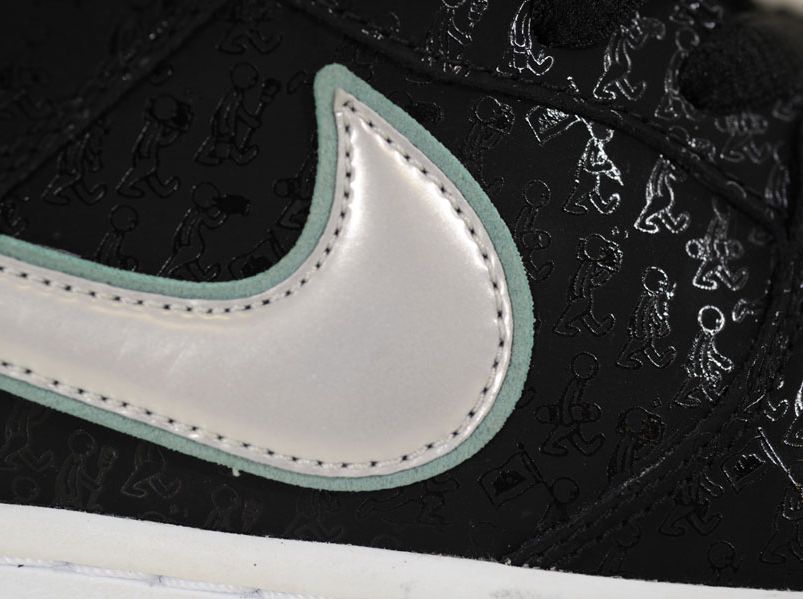 Skatepark Of Tampa Nike Sb Dunk Low 03