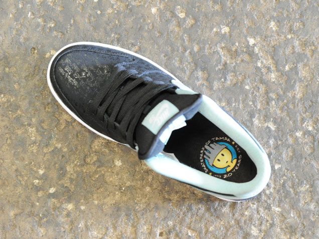 Skatepark Of Tampa Nike Sb Dunk Low 04