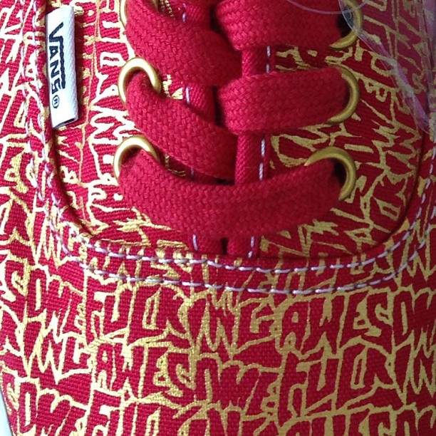 Fucking Awesome Vans Era 01