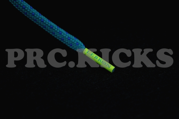 Nike Lebron X Low Violet Force Volt 01