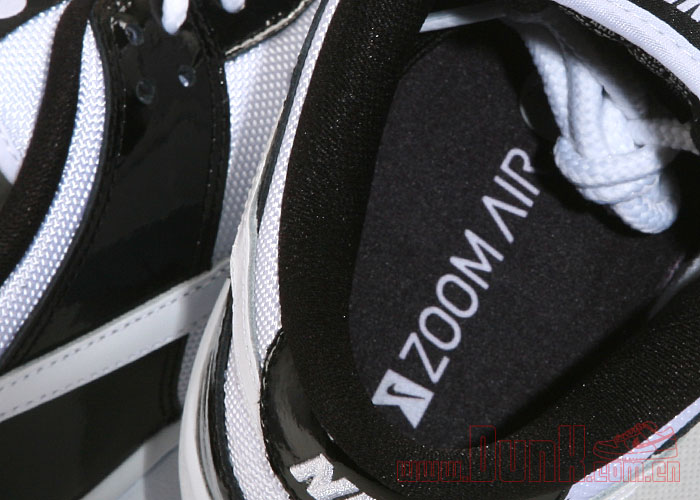 Nike Sb Dunk Low Concord Xi 02