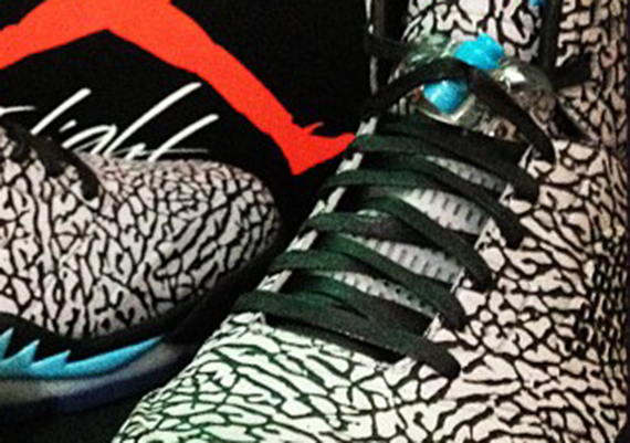 "Elephant Print" Air Jordan V