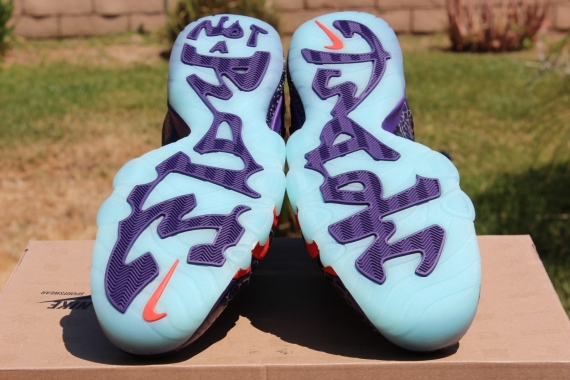 Nike Barkley Posite Max Suns Reminder 01