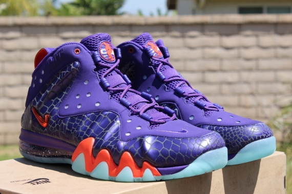 Nike Barkley Posite Max Suns Reminder 10