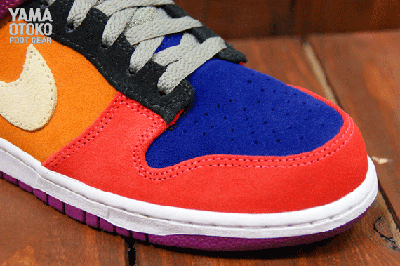 Viotech Nike Dunk Low 6