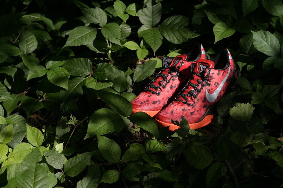 Nike Kobe 8 Challenge Red Arriving At Retailers 03