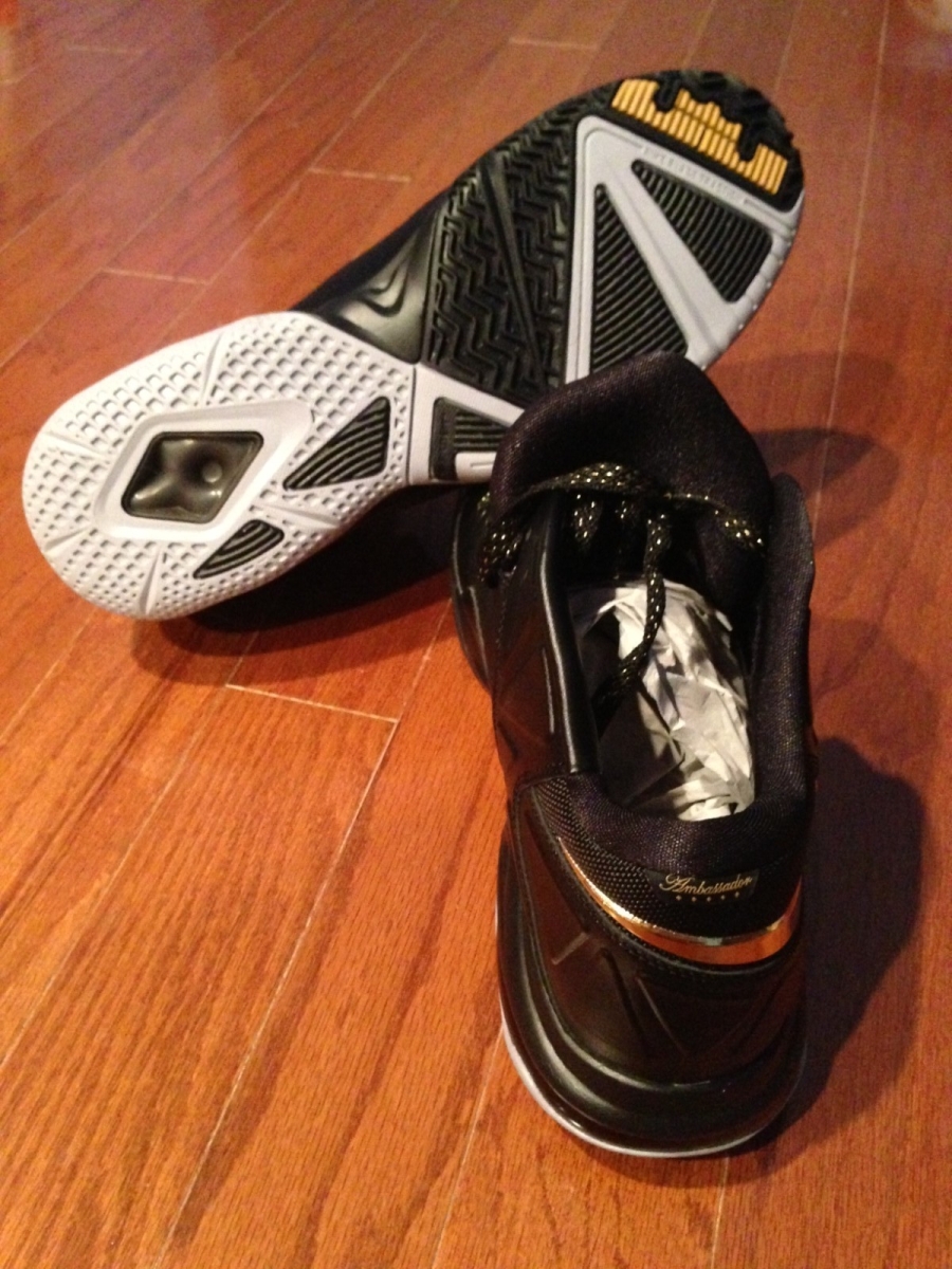 Nike Lebron Ambassdor V Mike Miller Finals Pes 12