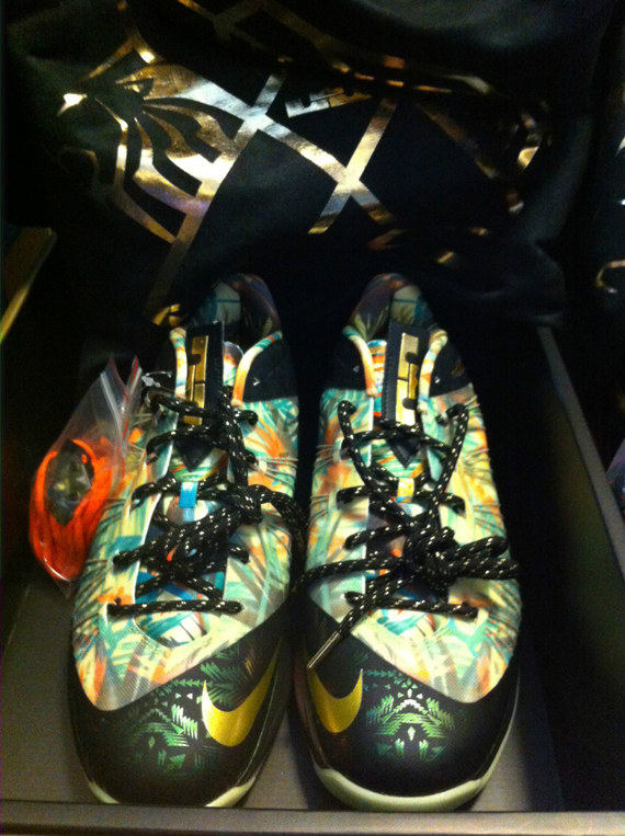 Nike Lebron Celebration Pack 5