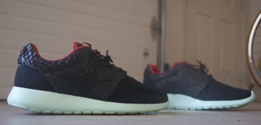 Nike Roshe Run Yeezy 2 02