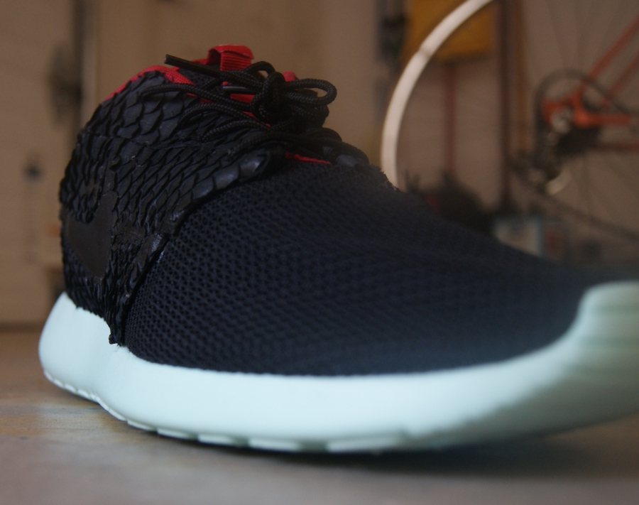 Nike Roshe Run Yeezy 2 03