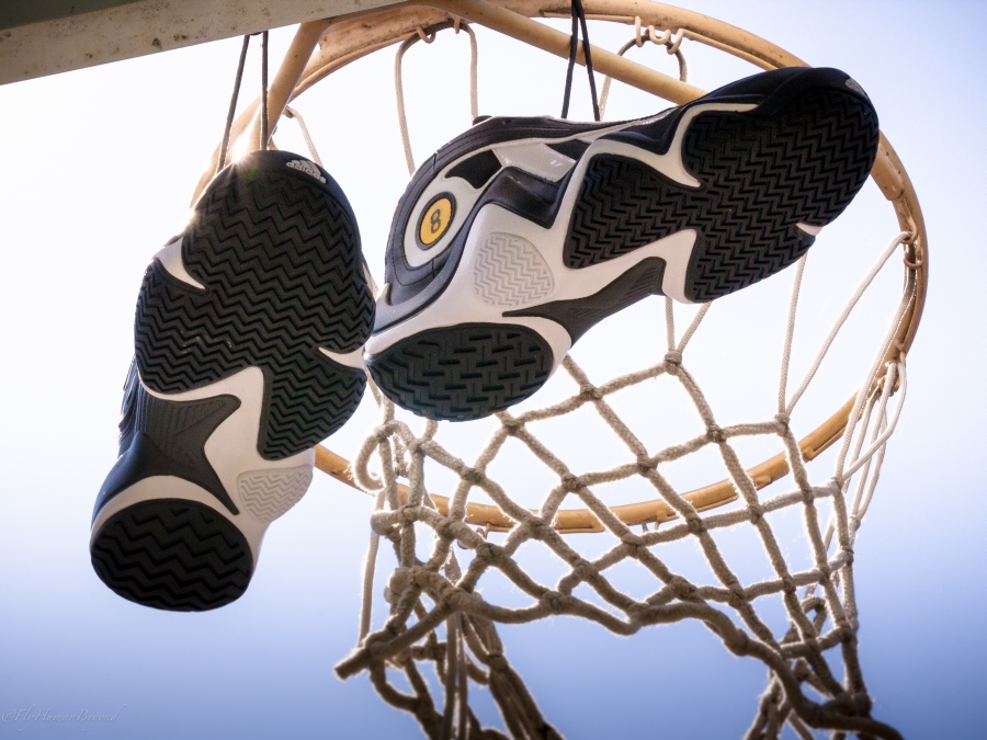 Adidas Crazy 97 Black White Gold 12