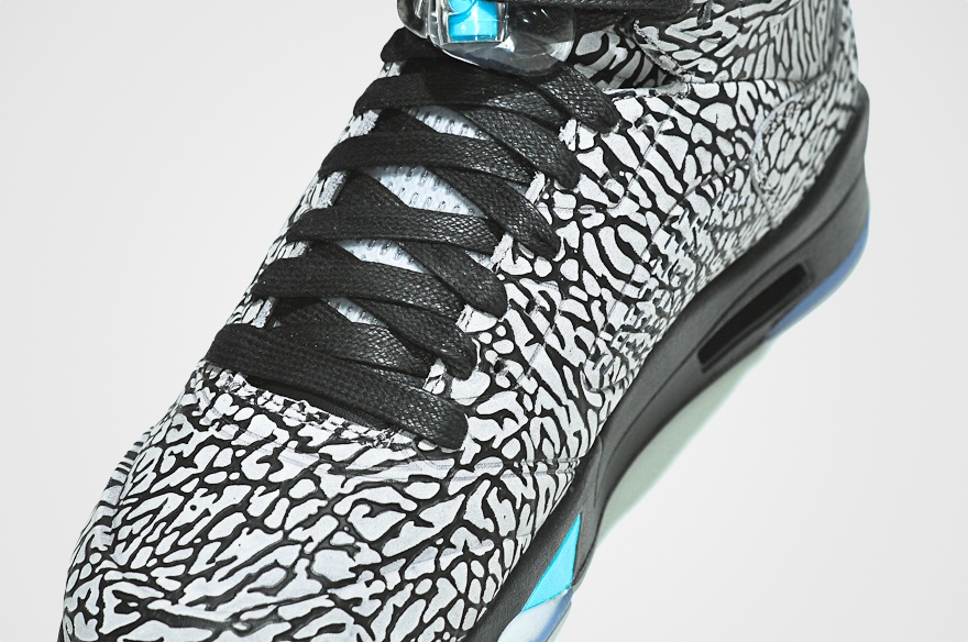 Elephant Print Discussion 12