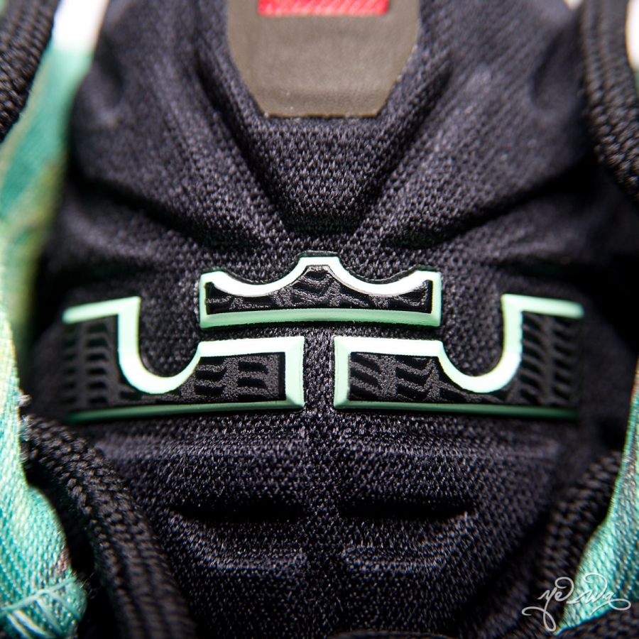 Nike Lebron 11 Kings Pride 16