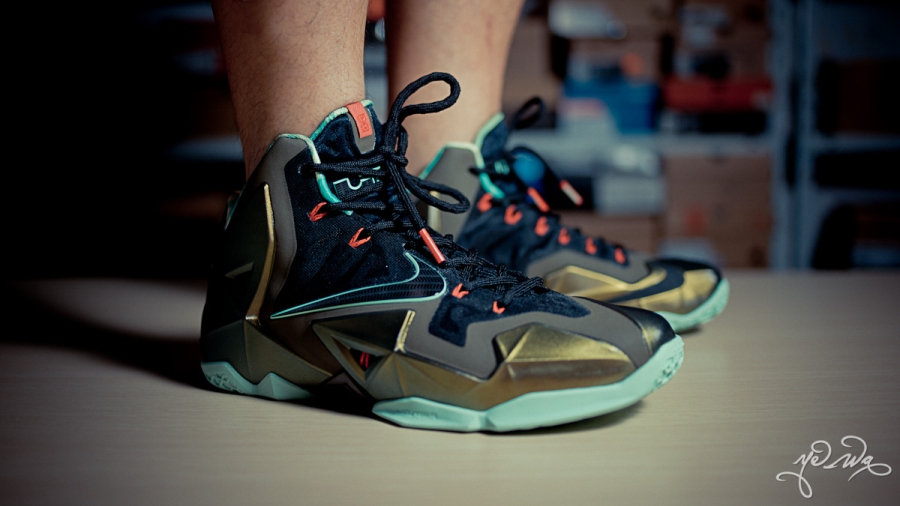 Nike Lebron 11 Kings Pride 20