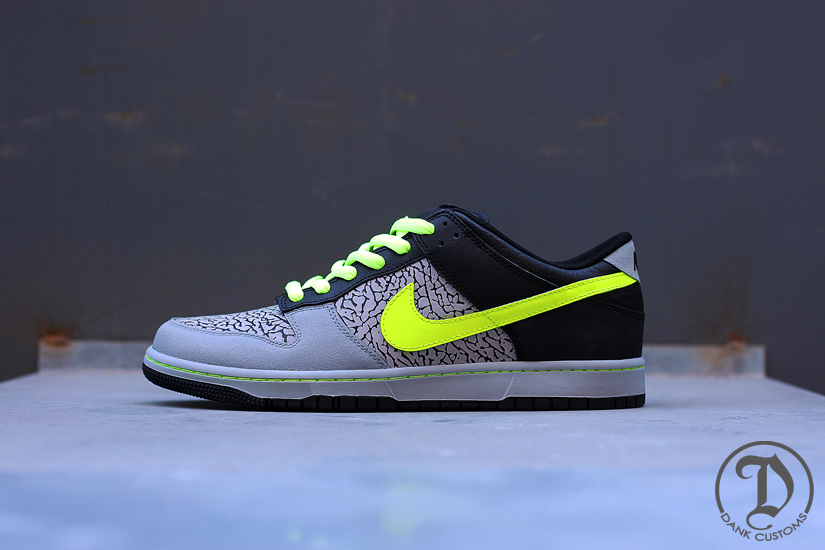 Nike Sb Dunk Low 112 Customs Dank 04