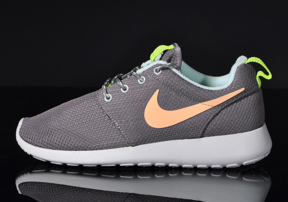 Nike Wmns Roshe Run Canyon Grey Pink 1