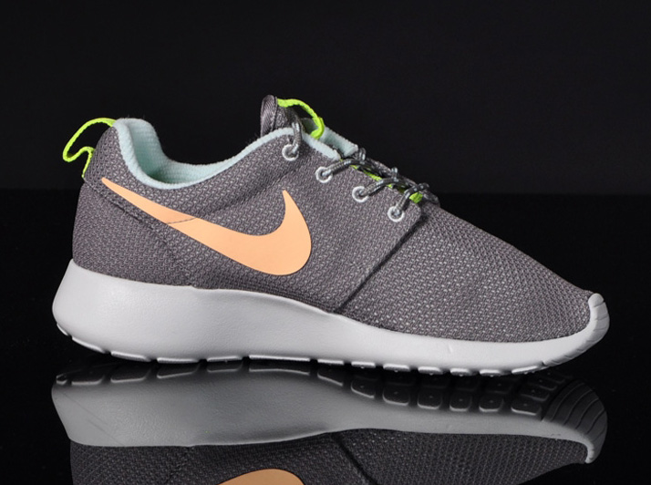 Nike Wmns Roshe Run Canyon Grey Pink 5