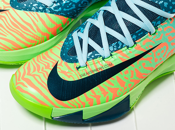 Kd 6 Liger 3