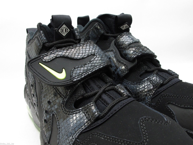 Snakeskin Nike Air Max Dt 96 01