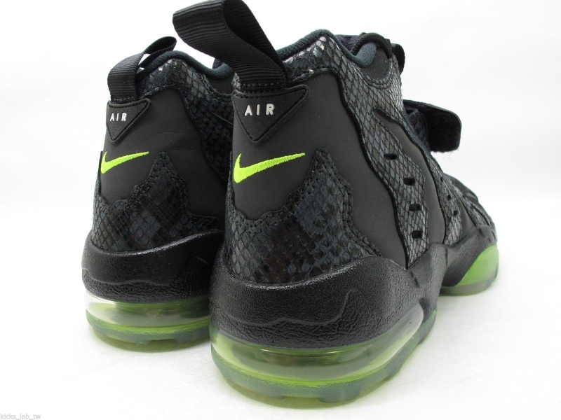 Snakeskin Nike Air Max Dt 96 03