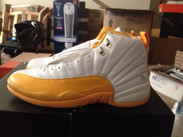 Carmelo Anthony Air Jordan Pes 02