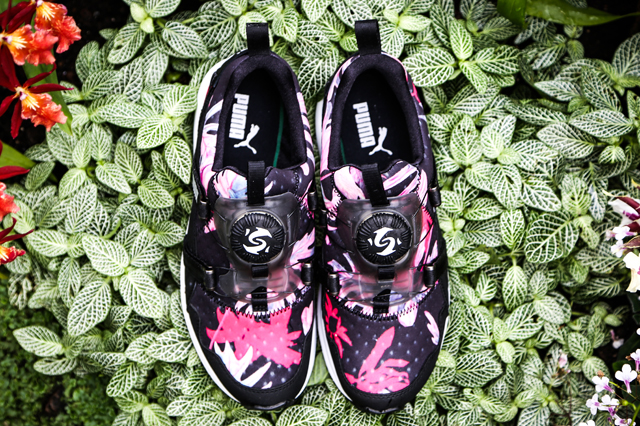 Puma Disc “Tropicalia Pack”