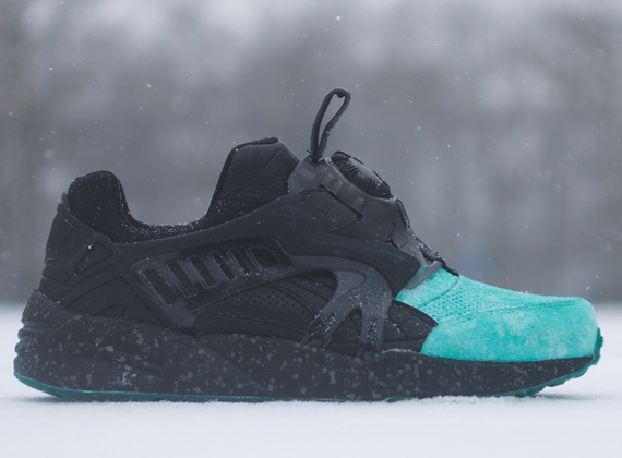 Fieg Coa Puma 01