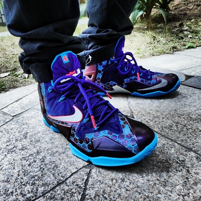 Hornets Lebron 11 01