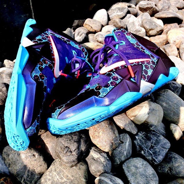 Hornets Lebron 11 03