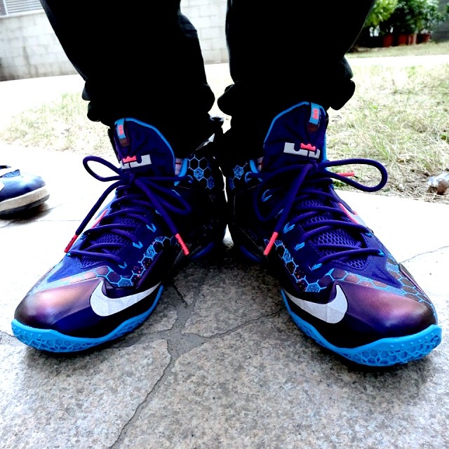 Hornets Lebron 11 04