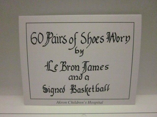 Lebron James Player Exclusive Collection 01