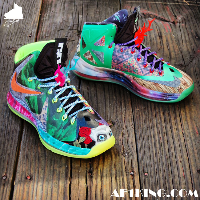 Lebron X What The Fehc 03